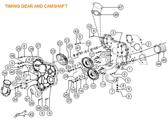 Timing Gear and Cam Shaft